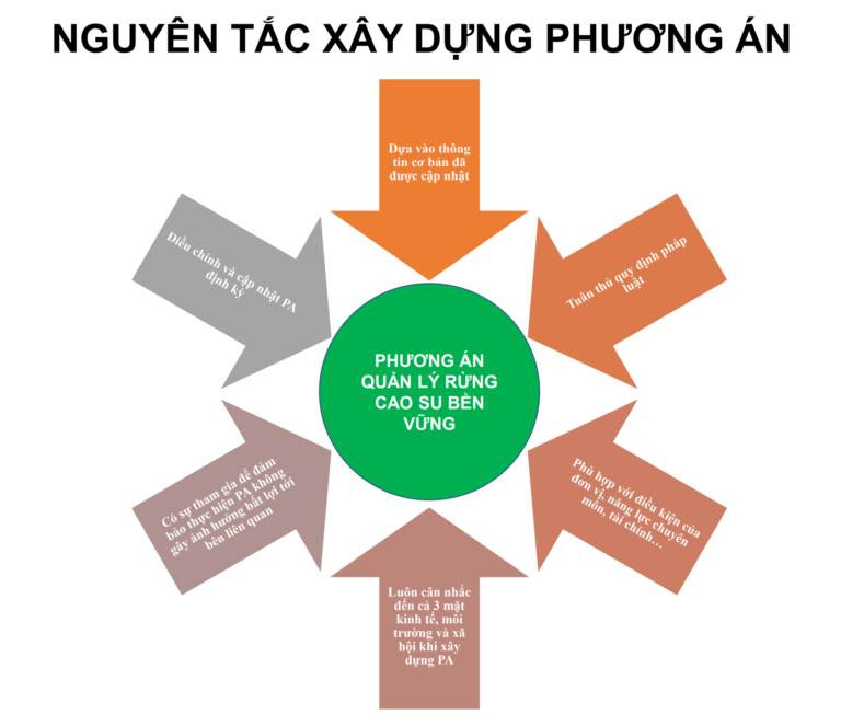 Read more about the article Phương án Quản lý rừng cao su bền vững
